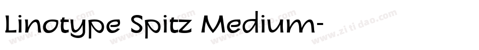 Linotype Spitz Medium字体转换